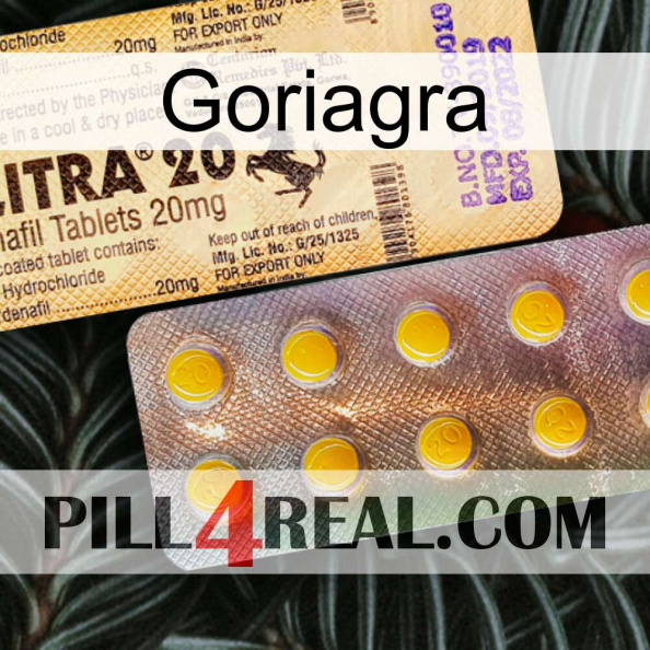 Goriagra new06.jpg